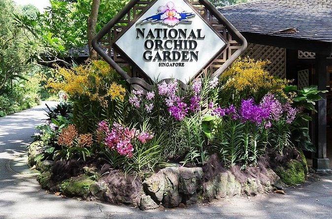 Private Singapore Full Day Highlights Tour with River Cruise Ride - Who Should Consider This Tour?