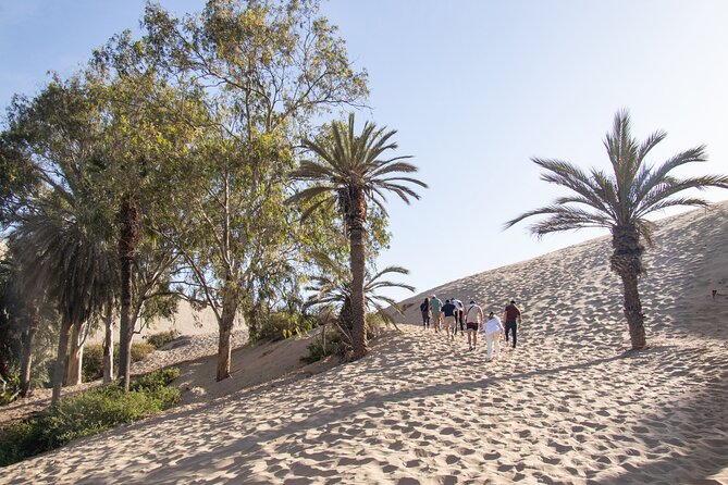 Dune Buggy at Sunset & Sandboarding from huacachina or Ica - Final Thoughts