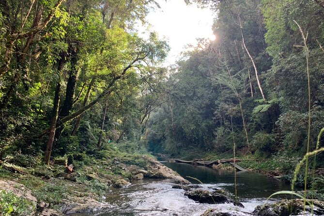 Coffee Lovers Farm and Roasting Tour - A Full Breakdown of the Coffee Lovers Farm and Roasting Tour