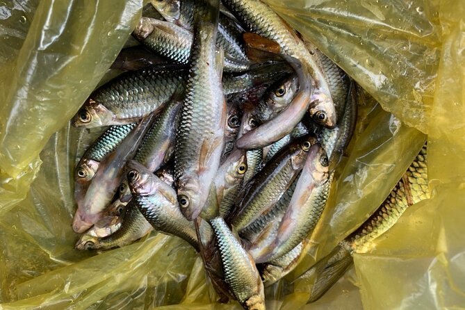 Coffee Lovers Farm and Roasting Tour - Key Points