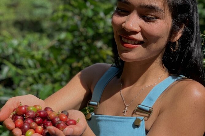 Coffee Lovers Farm and Roasting Tour - Final Thoughts