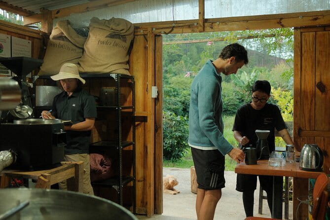 Coffee Farm Tour with Roasting & Tasting Workshop - Da Lat - How the Tour Runs and Practical Details