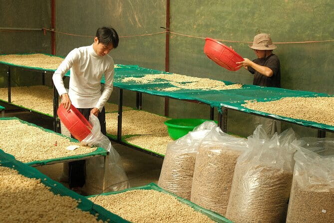 Coffee Farm Tour with Roasting & Tasting Workshop - Da Lat - FAQ