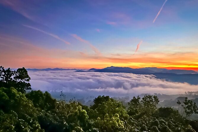 Da Lat Adventure: Cloud Hunting Experience from 4 AM to 10 AM - Who Will Love This Tour?