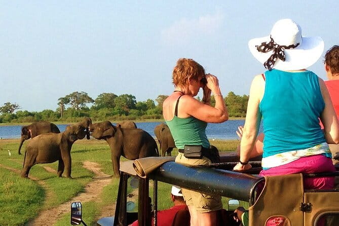 Ella: Transfer to Tangalle/Mirissa/Galle & Yala/Udawalawe Safari - FAQ: Your Quick Guide