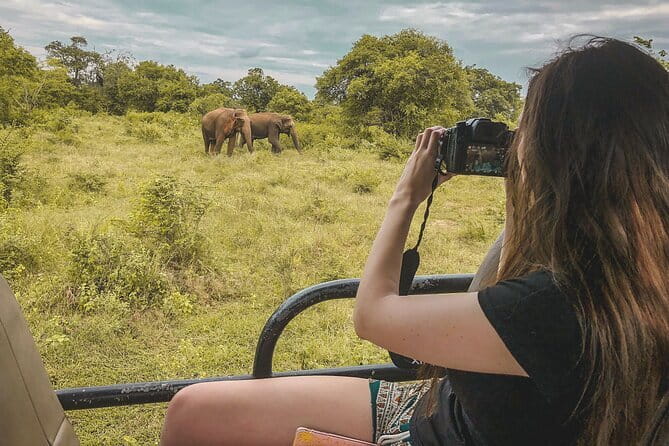 Ella to Mirissa Shuttle & Udawalawe Safari Drive with Breakfast - Introduction: Why Consider This Tour?