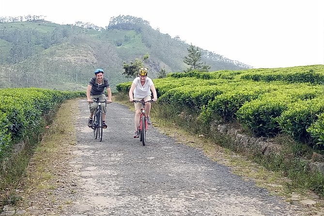 Ella Cycling Tour - Exploring Ella on Two Wheels: What the Tour Offers