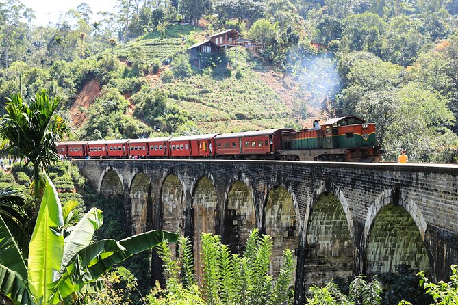 Explore the best of Ella. Hiking, waterfalls and cultural tour - Frequently Asked Questions  