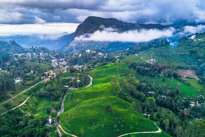 Private Tour Ella with Train Ride & Tea Plantation - The Scenic Train Ride