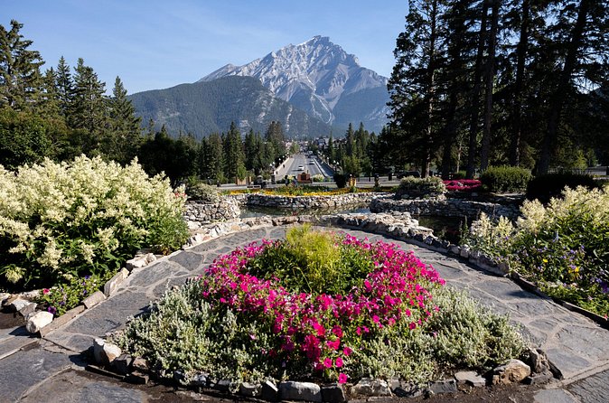 Banff Highlights E-Bike Tour - Concluding at Tunnel Mountain Drive