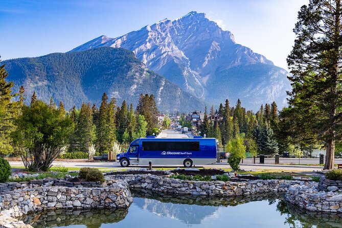 Year Round Tour: Banff and its Wildlife - The Experience: What You Can Expect