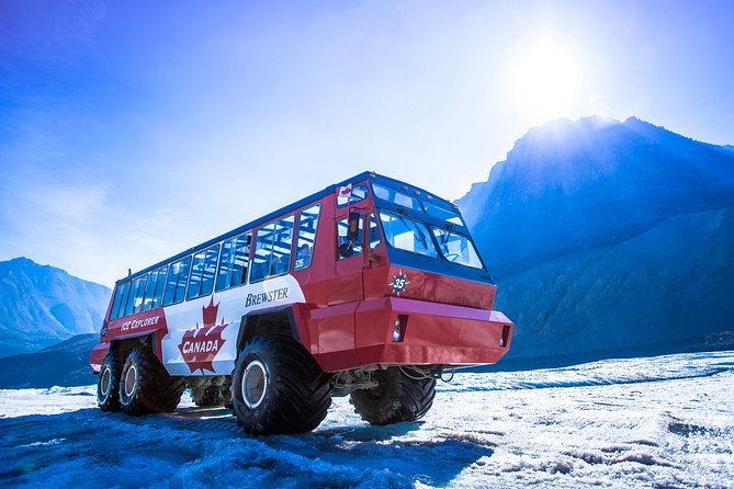 Athabasca Glacier Snow Trip from Banff - The Final Verdict: Who Will Love This Tour?