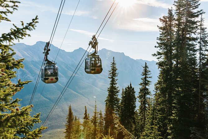 Banff Morning Tour Scenic Highlights and Gondola Ride - What the Tour Includes and What to Expect