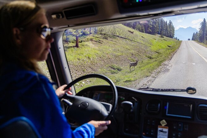 Banff Morning Tour Scenic Highlights and Gondola Ride - FAQs