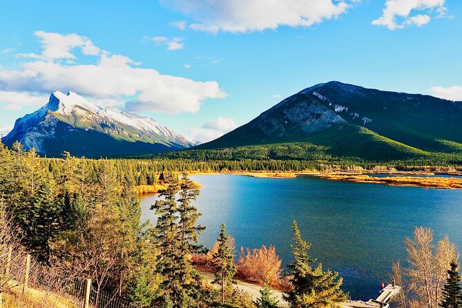 Evening Private Tour Best of Banff Wildlife - Discovering the Best of Banff Wildlife on an Evening Private Tour