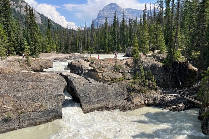Yoho Day Tour, Emerald Lake, Natural Bridge and Takakkaw Falls - Why This Tour Delivers Great Value