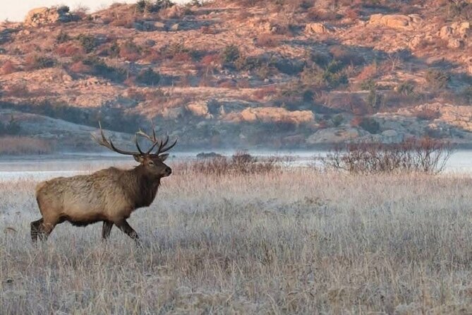 Johnson Canyon Lake Louise Emerald Lake Banff Gondola Hoodos - Practical Aspects: Comfort and Group Size