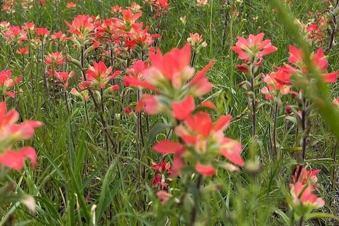 Johnson Canyon Lake Louise Emerald Lake Banff Gondola Hoodos - Banff Town and the Gondola: Culture and Panoramic Views