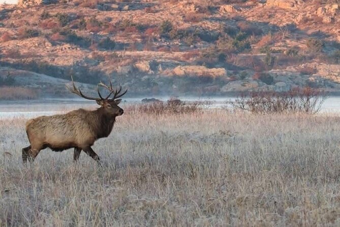 Lake Louise, Banff Gondola, Minnewanka and Banff Town Tour - Experience the Canadian Rockies in Style with the Lake Louise, Banff Gondola, Minnewanka, and Banff Town Tour