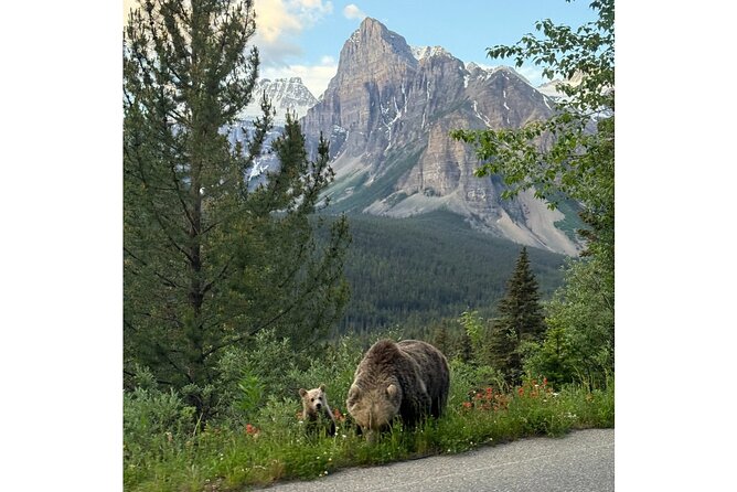 Moraine Lake, Lake Louise Afternoon Tour Half day From Banff - Why This Tour Offers Great Value