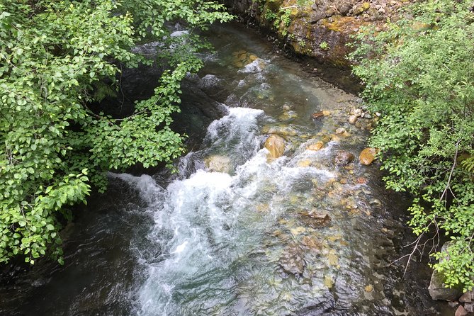 Unforgettable Whistler ( Full Day Private Tour) - Final Thoughts: Is It Worth the Price?