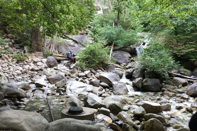 Unforgettable Whistler ( Full Day Private Tour) - Why This Tour Is a Great Choice