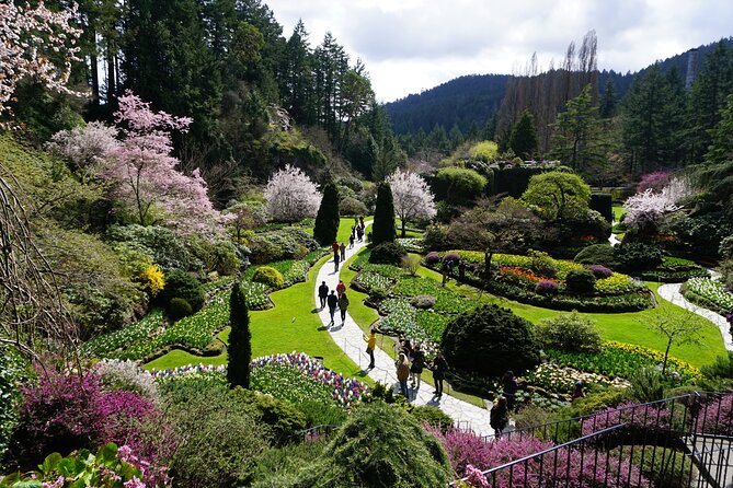 Victoria Day Trip with BC Ferries, Butchart Gardens & Downtown - Price and Value
