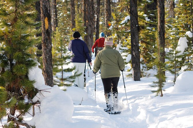 Snowshoeing at The Top of The Sea to Sky Gondola - FAQ