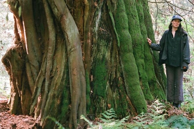 Ancient Trees of Vancouver Walking Tour - Key Points