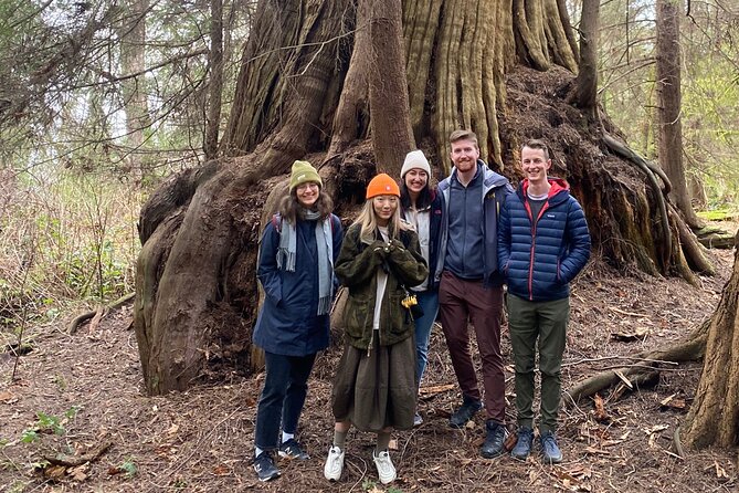 Ancient Trees of Vancouver Walking Tour - A Detailed Look at the Tour Experience
