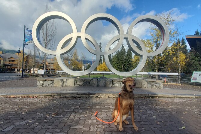 Private Tour:Whistler+Sea 2 sky gondola+Shannon Fall+Green Lake - A Deep Dive into the Itinerary