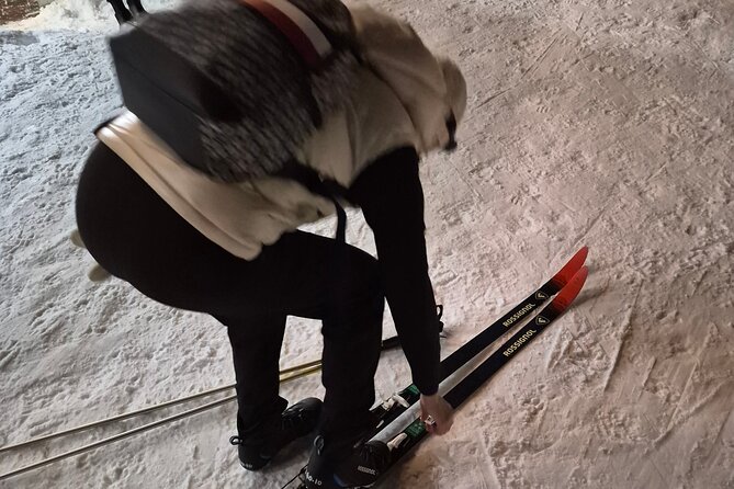 Evening Snowshoeing / Cross-country skiing Experience - Detailed Review: What You Need to Know