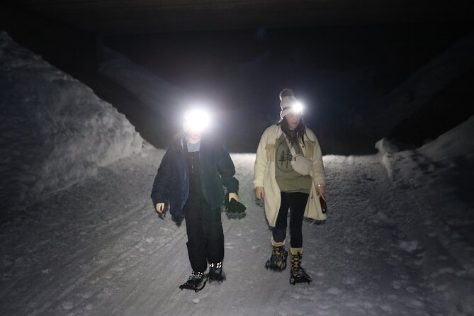 Evening Snowshoeing / Cross-country skiing Experience - Who Should Consider This Tour?