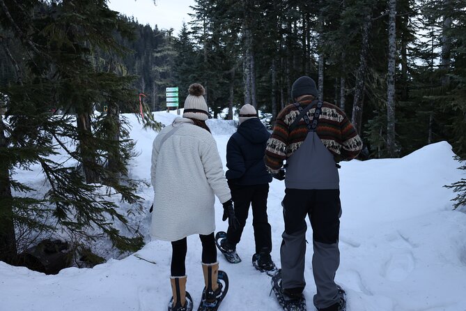 Evening Snowshoeing / Cross-country skiing Experience - The Sum Up: Who Will Love This Experience?