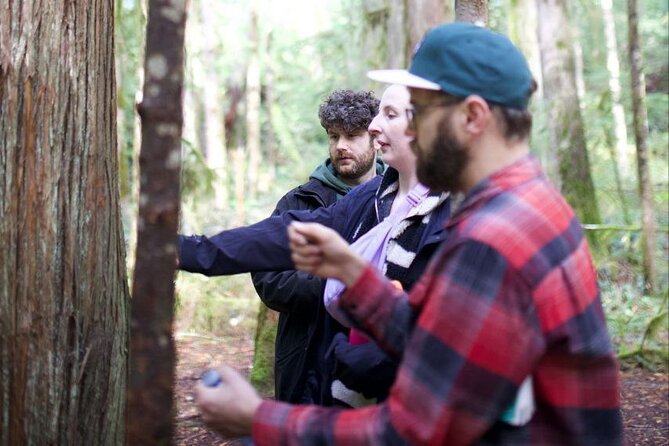Grouse Hike and Capilano Bridge - Who Should Consider This Tour?