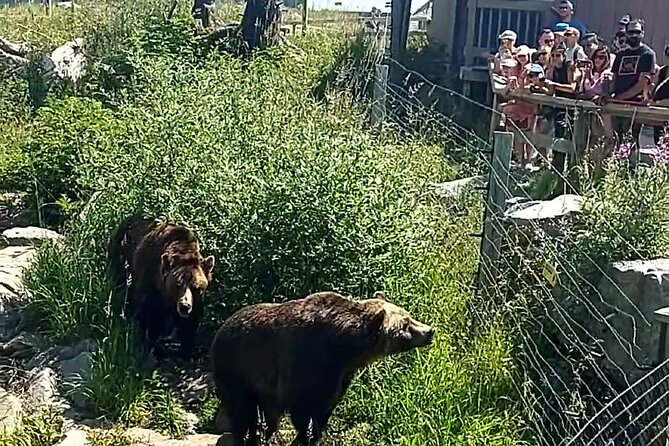 Grouse Hike and Capilano Bridge - FAQ