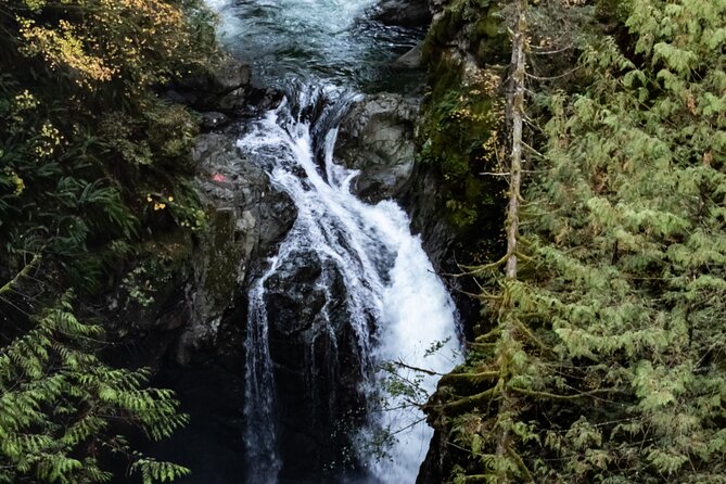 Guided Rainforest & Suspension Bridge Private Hike - Who Will Love This Tour?