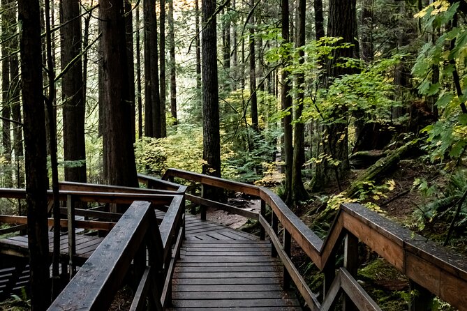 Guided Rainforest & Suspension Bridge Private Hike - The Sum Up