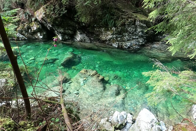 Capilano Suspension Bridge, Lynn Canyon & Capilano Hatchery Tour - The Iconic Capilano Suspension Bridge Park