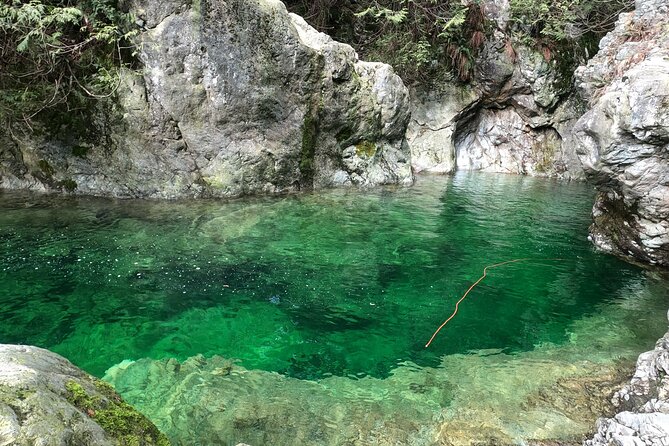 Capilano Suspension Bridge, Lynn Canyon & Capilano Hatchery Tour - Capilano Salmon Hatchery – An Educational Stop