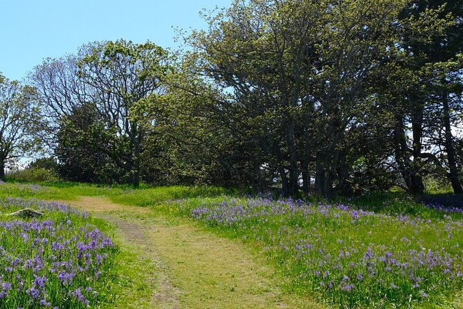 Multi Day Trek from Vancouver to Victoria - FAQ