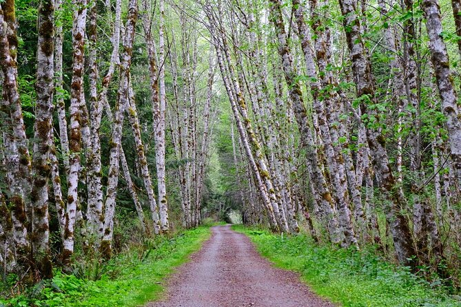 Multi Day Trek from Vancouver to Victoria - Discover the Vancouver to Victoria Trek: A Journey of Coastlines, Cultures, and Connection