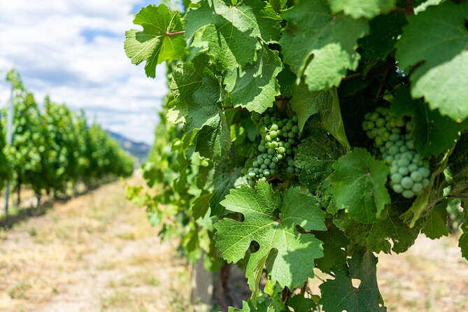 5 Day Okanagan Wine Tour by Minibus - FAQs