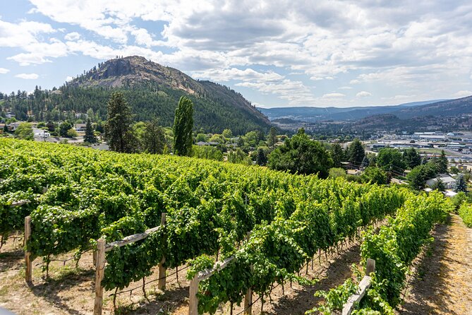 5 Day Okanagan Wine Tour by Minibus - Why This Tour Works for You
