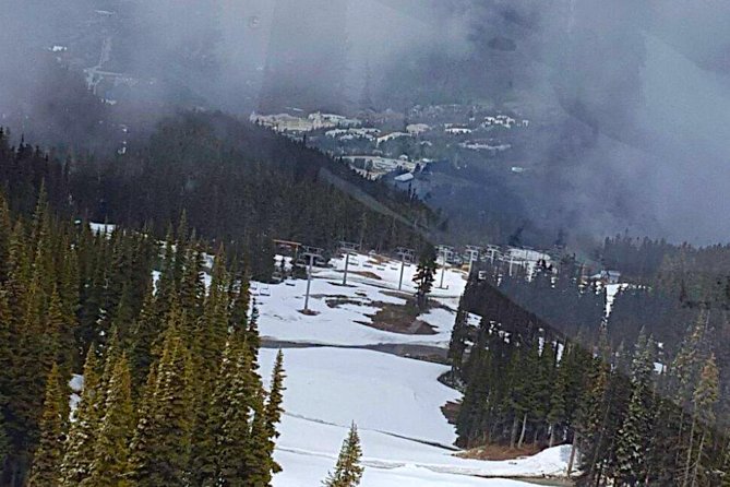 Private Charter Tour to Explore Vancouver and Surrounding Area - An In-Depth Look at the Vancouver Private Tour