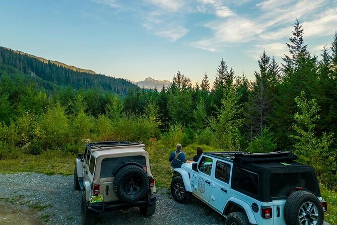 Whistler Bear Tour - Possible Drawbacks or Considerations