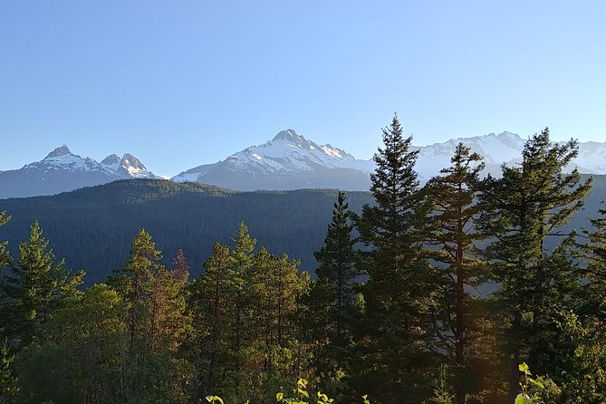 Whistler Vancouver Private Transfer - Practical Details and Value