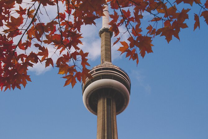 Kickstart Your Trip in Toronto - Why It’s a Great Value