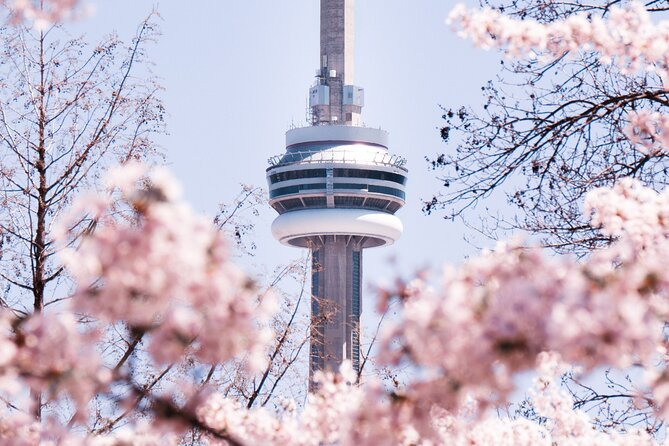 Private Toronto City Tour with Boat and CN Tower - An In-Depth Look at the Tour Itself