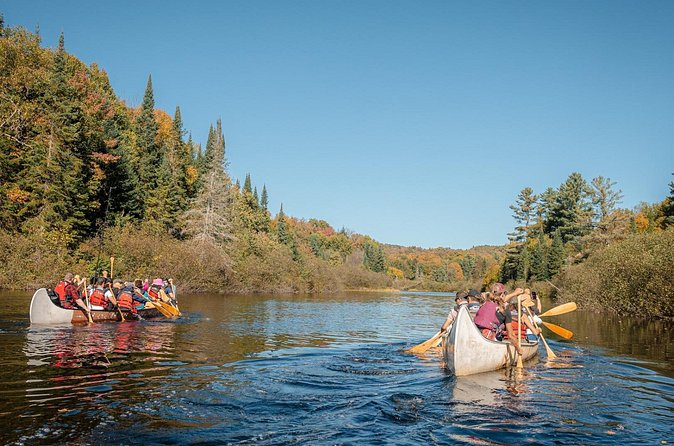 Algonquin Park and Ragged Falls Hike and Canoe Adventure - Who This Tour Is Best Suited For